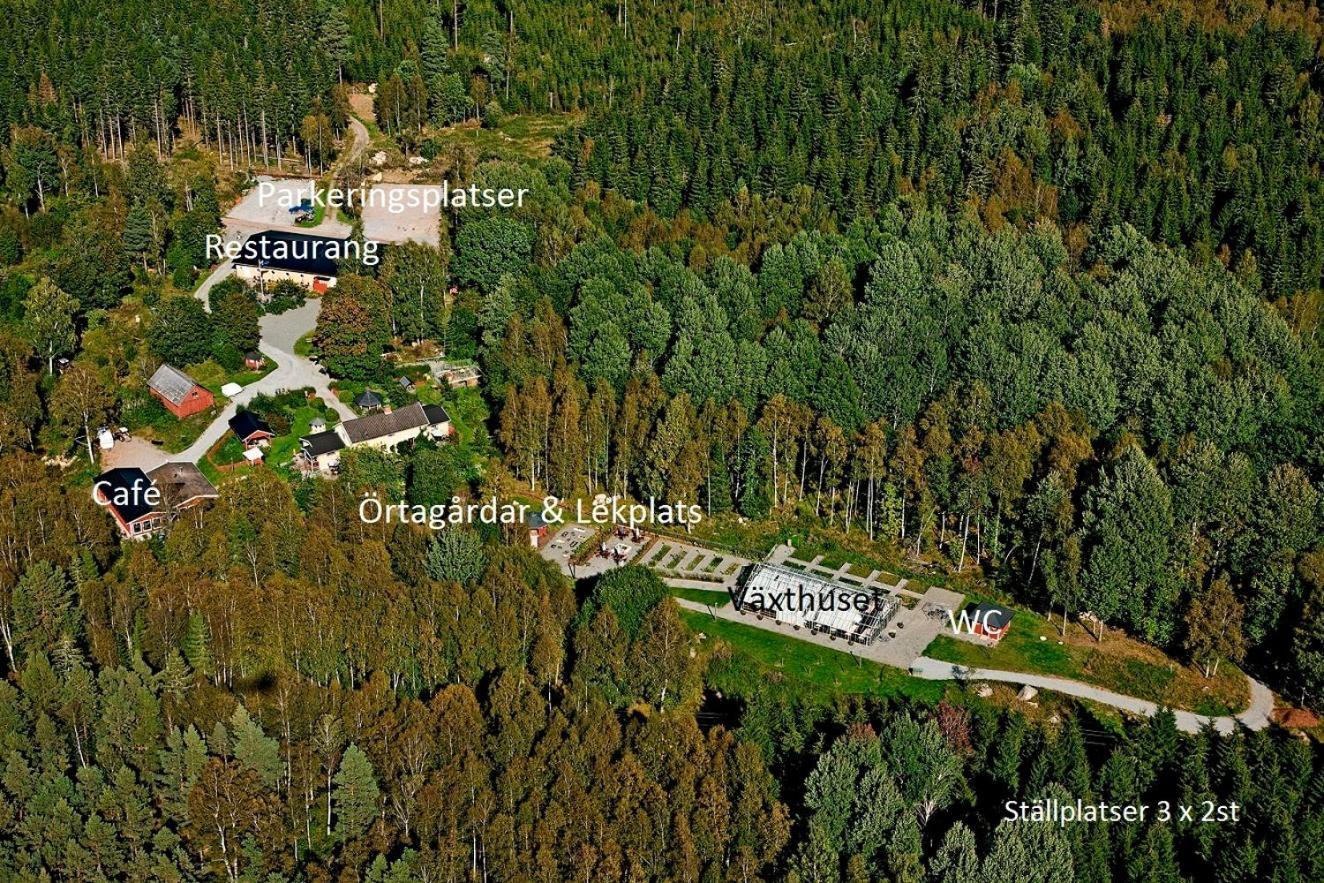 Timjan Forest Resort Nydala Eksteriør bilde