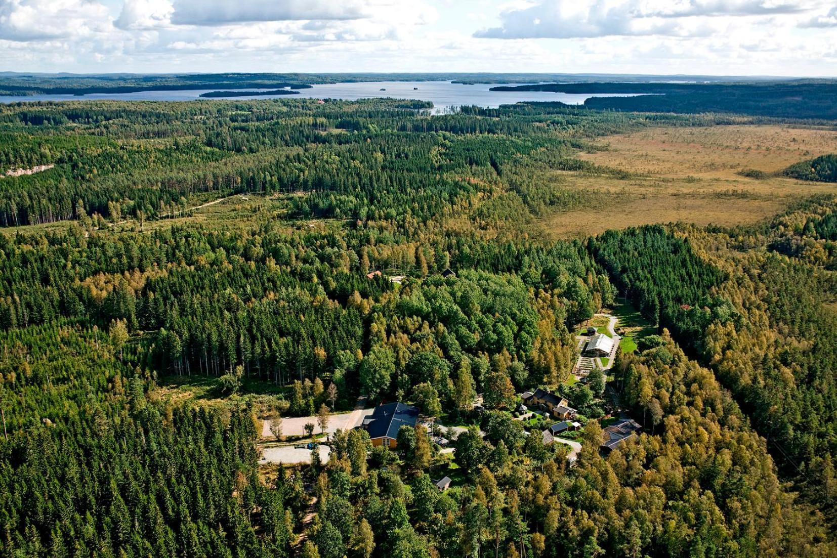 Timjan Forest Resort Nydala Eksteriør bilde